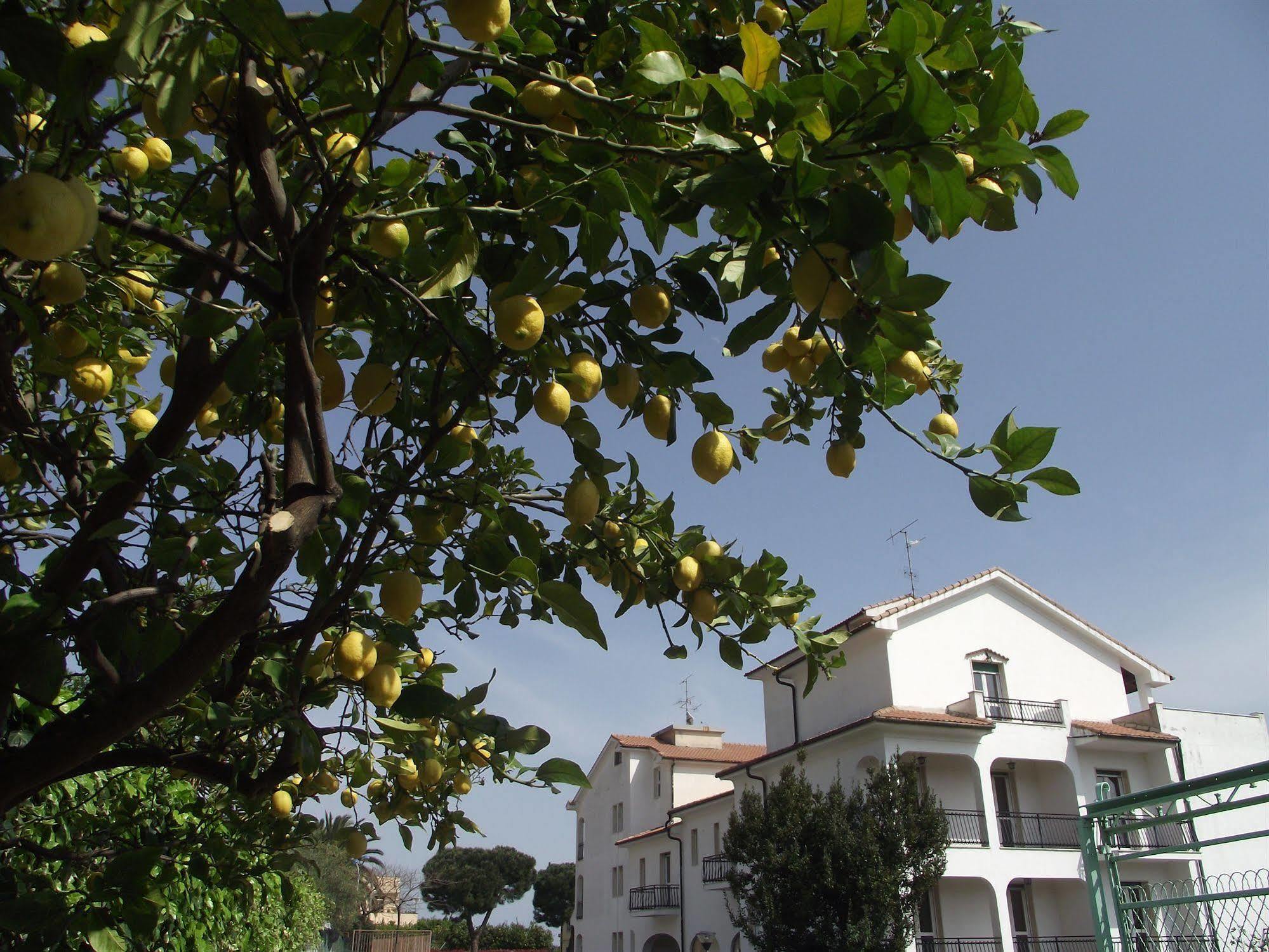 Il Borgo Degli Ulivi Resort Pietra Ligure Exterior photo